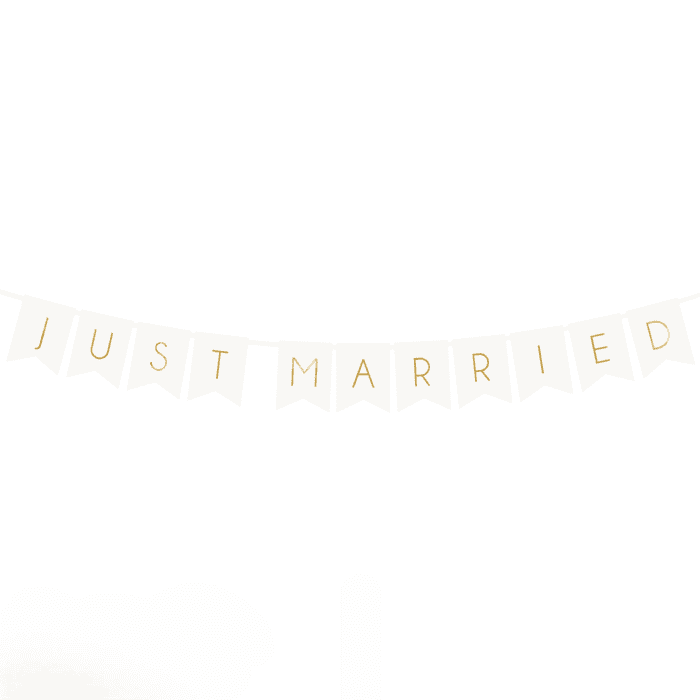 Just Married Banner weiss